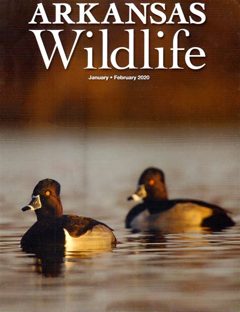 Kansas Wildlife & Parks Magazine from $12! Find the lowest price on ...