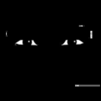 Man Face | Roblox Wiki | Fandom