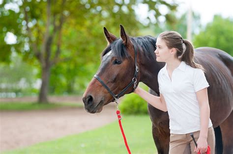 Equine Adoption Dos And Donts Horse Illustrated Horse Adoption