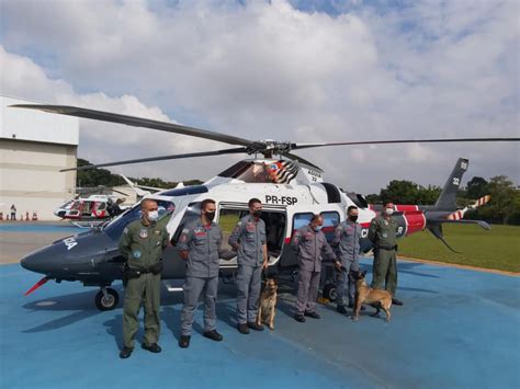 Pelo menos 20 bombeiros e quatro cães farejadores de outros estados