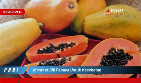 Ketahui Manfaat Biji Pepaya Untuk Kesehatan Yang Jarang Diketahui