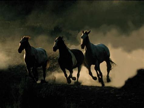 Wild Horses Wallpapers - Top Free Wild Horses Backgrounds - WallpaperAccess