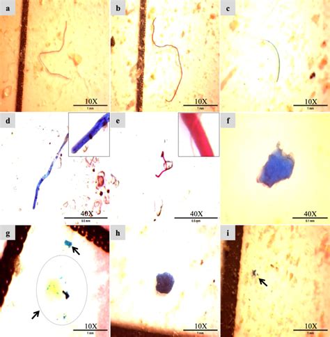 Microscopic Images Of Selected Microplastics A B C D E Fiber F