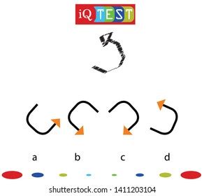 Sex Determination Sexual Differentiation Avian Model Stock Vector Royalty Free