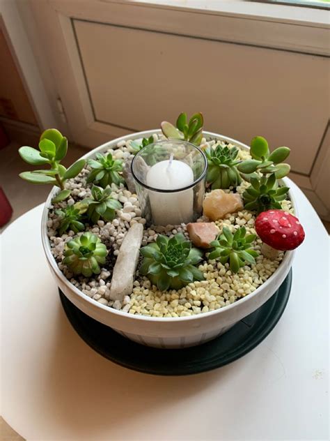 Jolie Mise En Pot De Plantes Grasses Dites Succulentes Succulentes