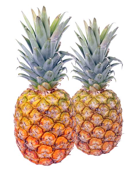 Two Pineapple Png Image Purepng Free Transparent Cc0 Png Image Library