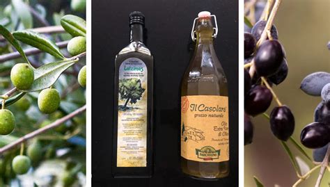 11 Italy's Finest Olive Oil Brands for Authentic Taste - Italian ...