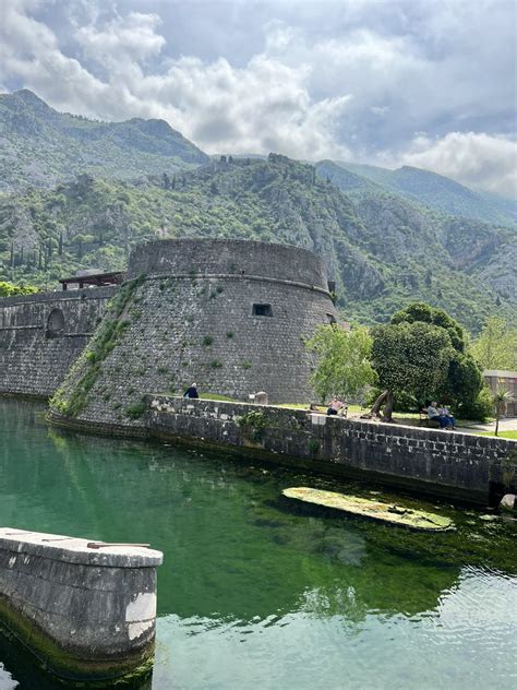 anjaweber on Twitter Danas u Kotoru na ulasku kad sam ugledala cveće