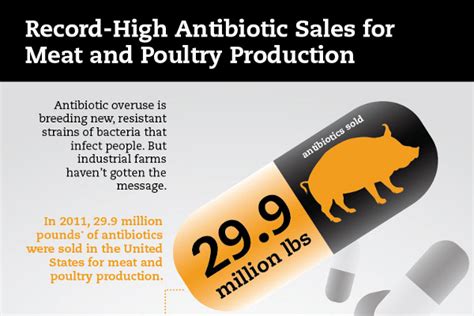 29 Poultry Industry Statistics and Trends - BrandonGaille.com