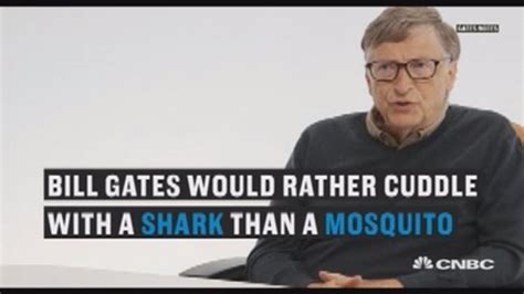 Bill Gates Says Mosquitoes Scare Him More Than Sharks