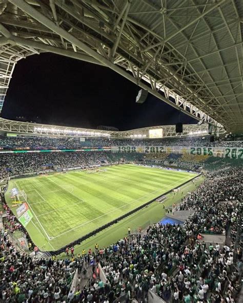 Palmeiras Game Experience in Allianz Parque | GetYourGuide