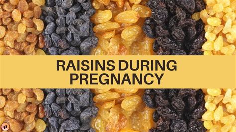 Pregnancy Diet Raisins Kishmish During Pregnancy Benefits Of