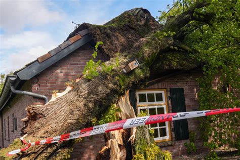 Veel Schade Aan Woonboerderij Door Omgevallen Boom Brabant