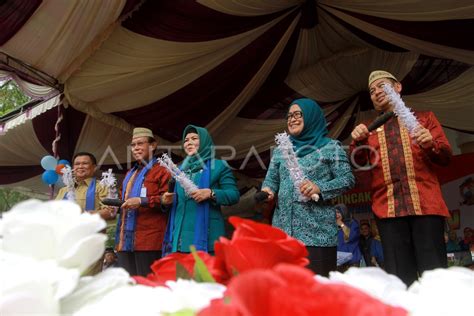 Peringatan Hari Keluarga Nasional Antara Foto