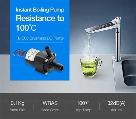 Topsflo High Temperature Brushless Dc Food Grade Pump Kichen Under Sink Instant Hot Water Drink