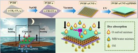 Pvdf A Cnt S Pdms Composites Science And