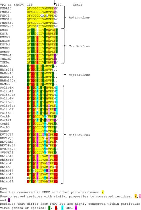 Conservation Of VP2 Sequences Among Picornaviruses The Amino Acid