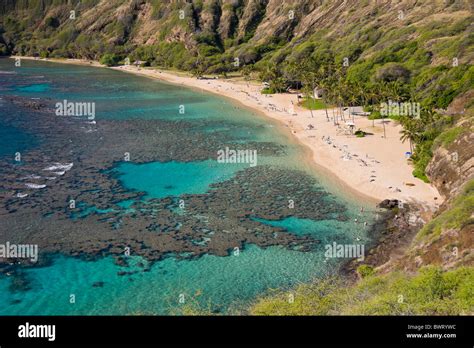 Coral Reef And White Sand Beach Hanauma Bay Nature Preserve Oahu