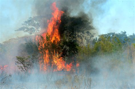 Incendios En Corrientes Un Intendente Donar Sus Sueldos Hasta Fin De