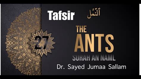 12 Tafsir Surat An Naml The 🐜 From Verses 88 To 93last Episode Dr