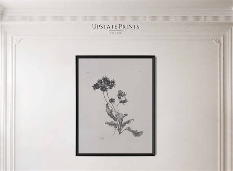 Vintage Botanical Still Life French Country Floral Print Nature Wall