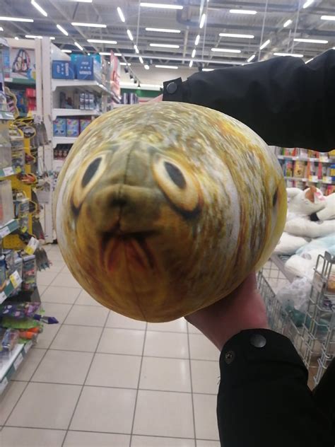 Смотрите какая милая подушка рыба, хочу её купить😍 : r/rusAskReddit
