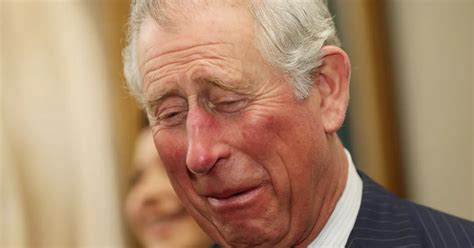 Was Prince Charles Crying About Archie In This Picture