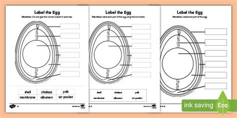 Label The Parts Of An Egg Differentiated Activity