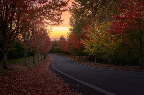 Fondos De Pantalla X Px Paisaje La Carretera Rboles