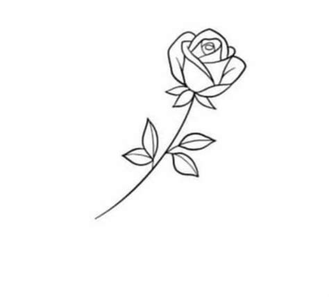 Pin On Bocetos Small Rose Tattoo Simple Rose Tattoo Rose Drawing Tattoo