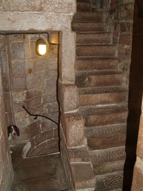 Evening news and star carlisle cumbria reports are shocking the city 4