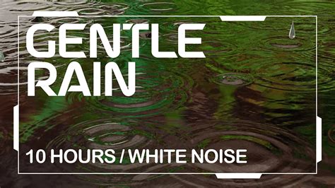 Hours Of Gentle Rain Sound For Sleeping Ambient Soundscapes