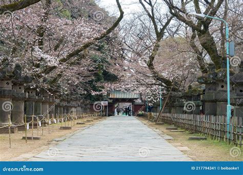 Approach At Ueno Toshogu Shrine In Ueno Park Tokyo Japan A Shrine