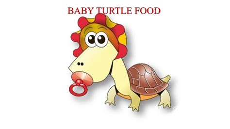 Baby Turtle Food - Fish Fuel Co