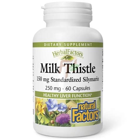 Natural Factors MILK THISTLE (250 мг × 60 капсул) - Купить экстракт ...