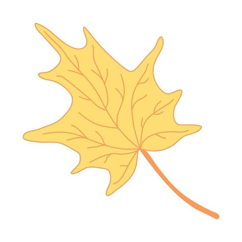 Premium Vector Yellow Maple Leaf Hand Drawn Color Doodle Illustration