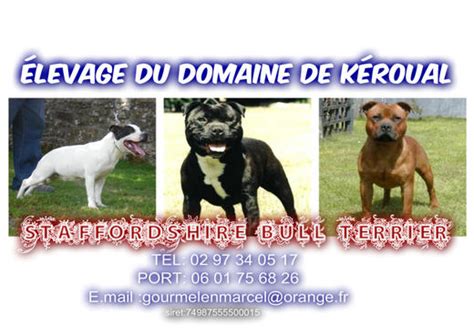 Photo Levage Du Domaine De K Roual