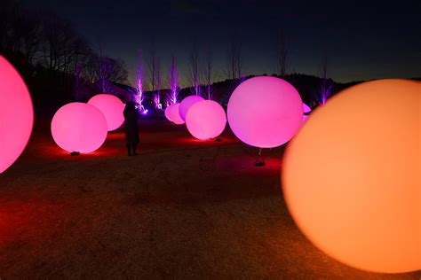 Digitized Lakeside And Forest” Outdoor Art Installation Only In Japan