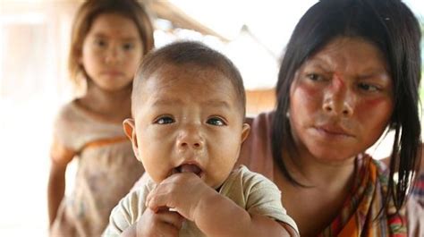 Perú Cumple Con Las Metas De La Fao En La Lucha Contra El Hambre