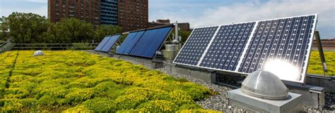 Green Roofs A Sustainable Solution From New York To The Caribbean