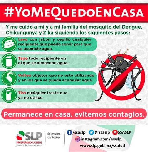 Ss Recomienda Tomar Medidas Preventivas Contra El Dengue Zika Y