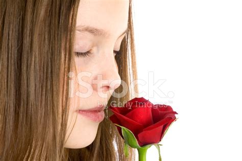 Smell The Roses Stock Photo | Royalty-Free | FreeImages