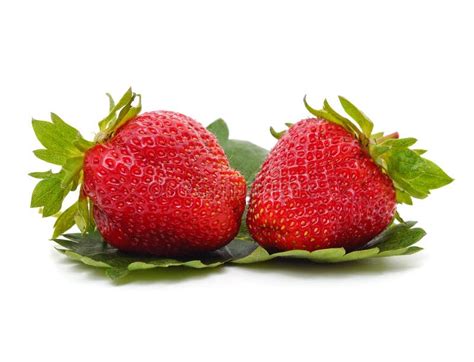 Large Fresh Strawberry Stock Photo Image Of Isolated 260205882