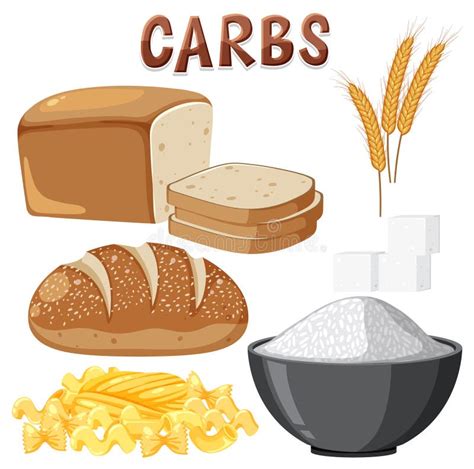 Variedad De Alimentos De Carbohidratos Ilustraci N Del Vector