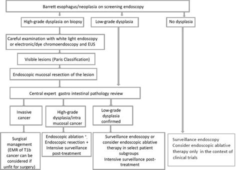 Barrett Esophagus And Intramucosal Esophageal Adenocarcinoma Hematologyoncology Clinics