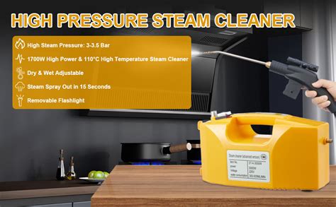 Amazon Ganggend Handheld Steam Cleaner High Pressure Steam