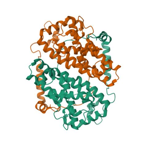 Rcsb Pdb 4yxp The Structure Of The Folded Domain Of The Signature Multifunctional Protein