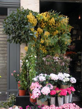 I Prefer Paris: Spring Flowers in Paris