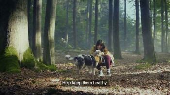 Iams TV Spot From Puppy To Adult ISpot Tv