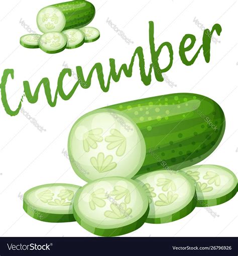 Cucumber Cartoon Icon Isolated Royalty Free Vector Image